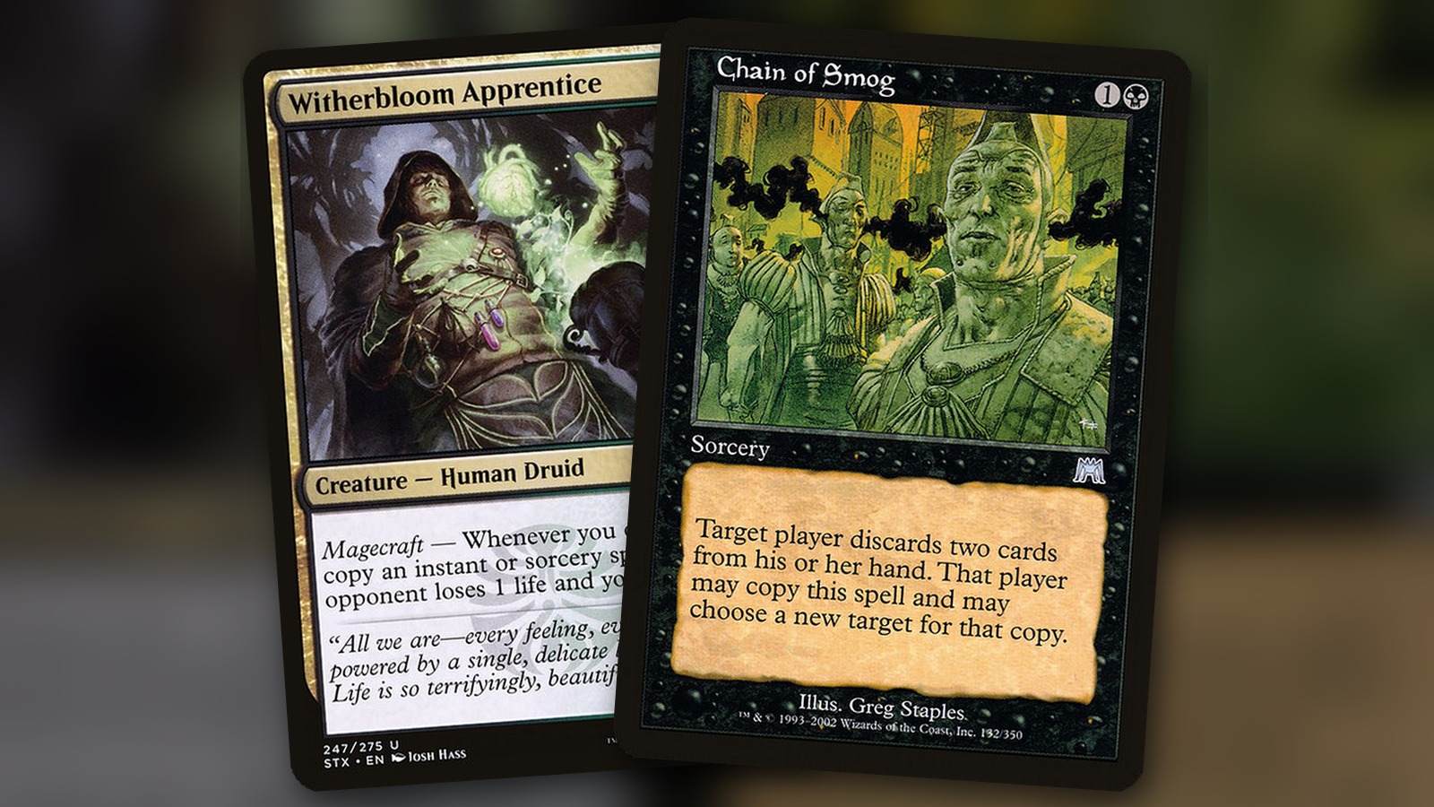 Witherbloom Apprentice + Chain of Smog: combo Commander Golgari